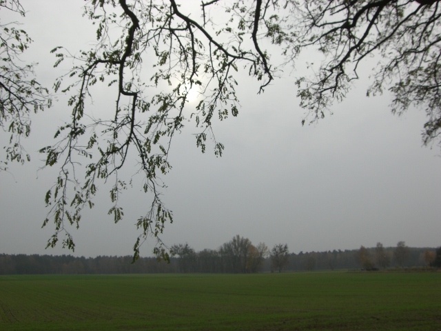 CTF-Seefeld 2008 126
